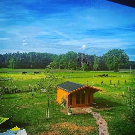 Wunderschoene Ferienwohnung Auf Dem Bauernhof Greven Buitenkant foto